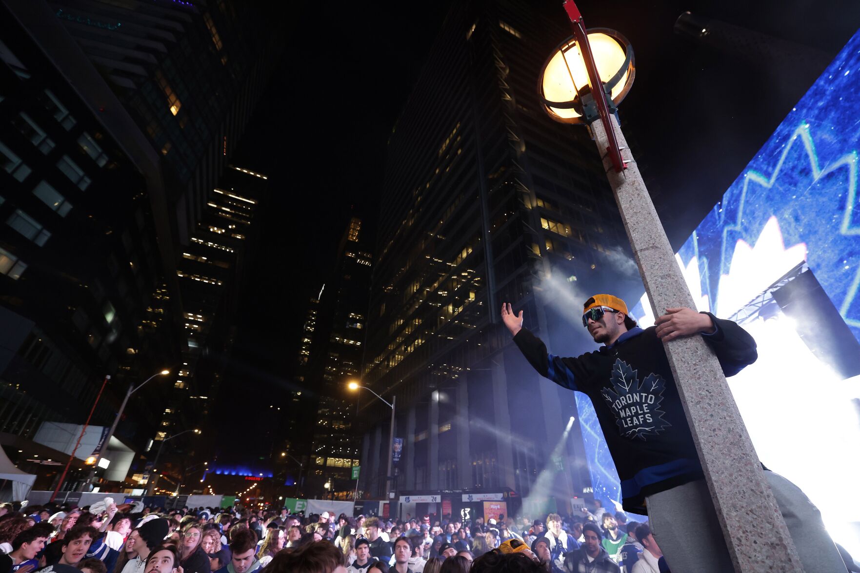 Leafs lamp.JPG